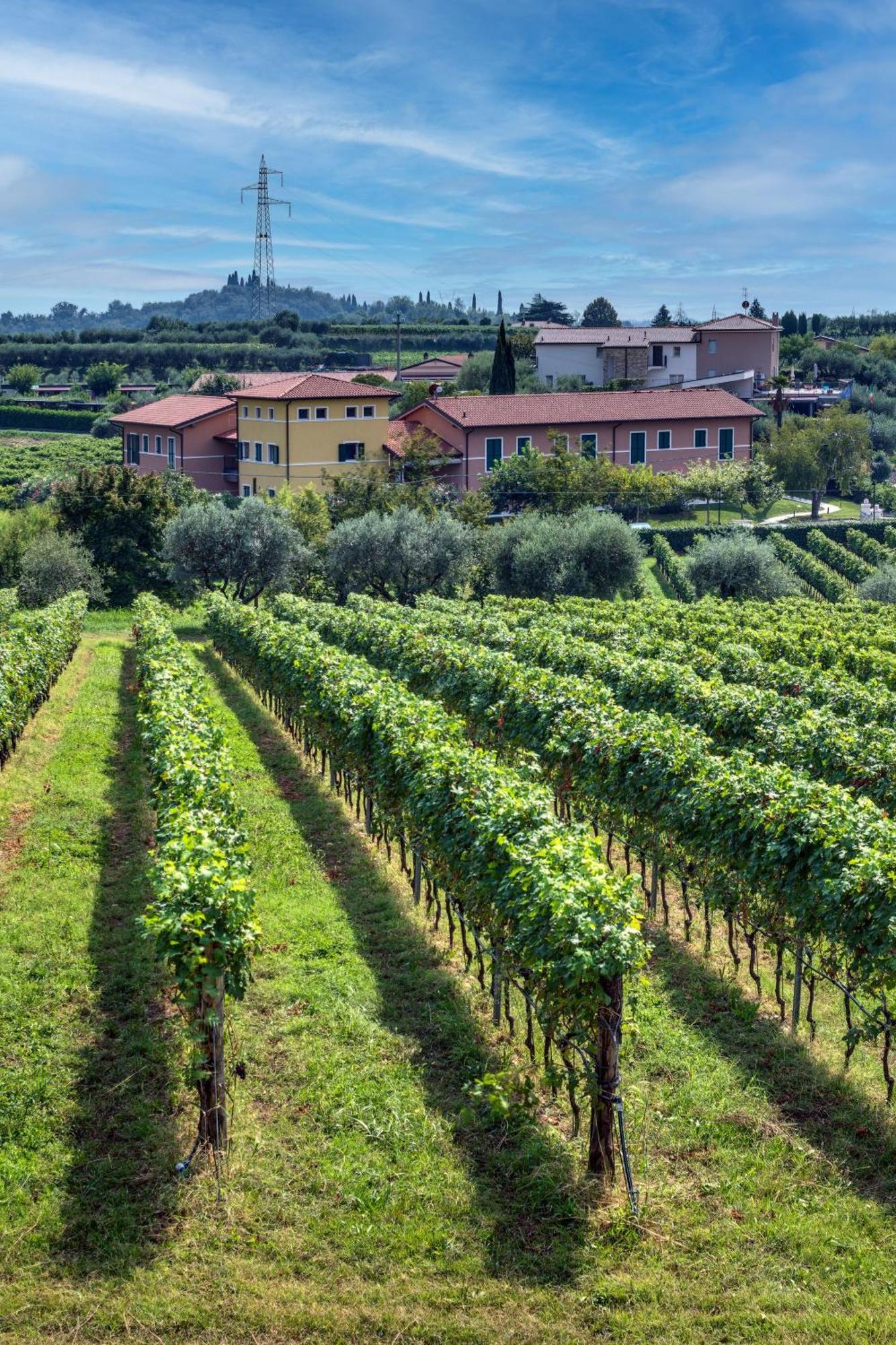 Tenuta Di Palu Bardolino Eksteriør billede