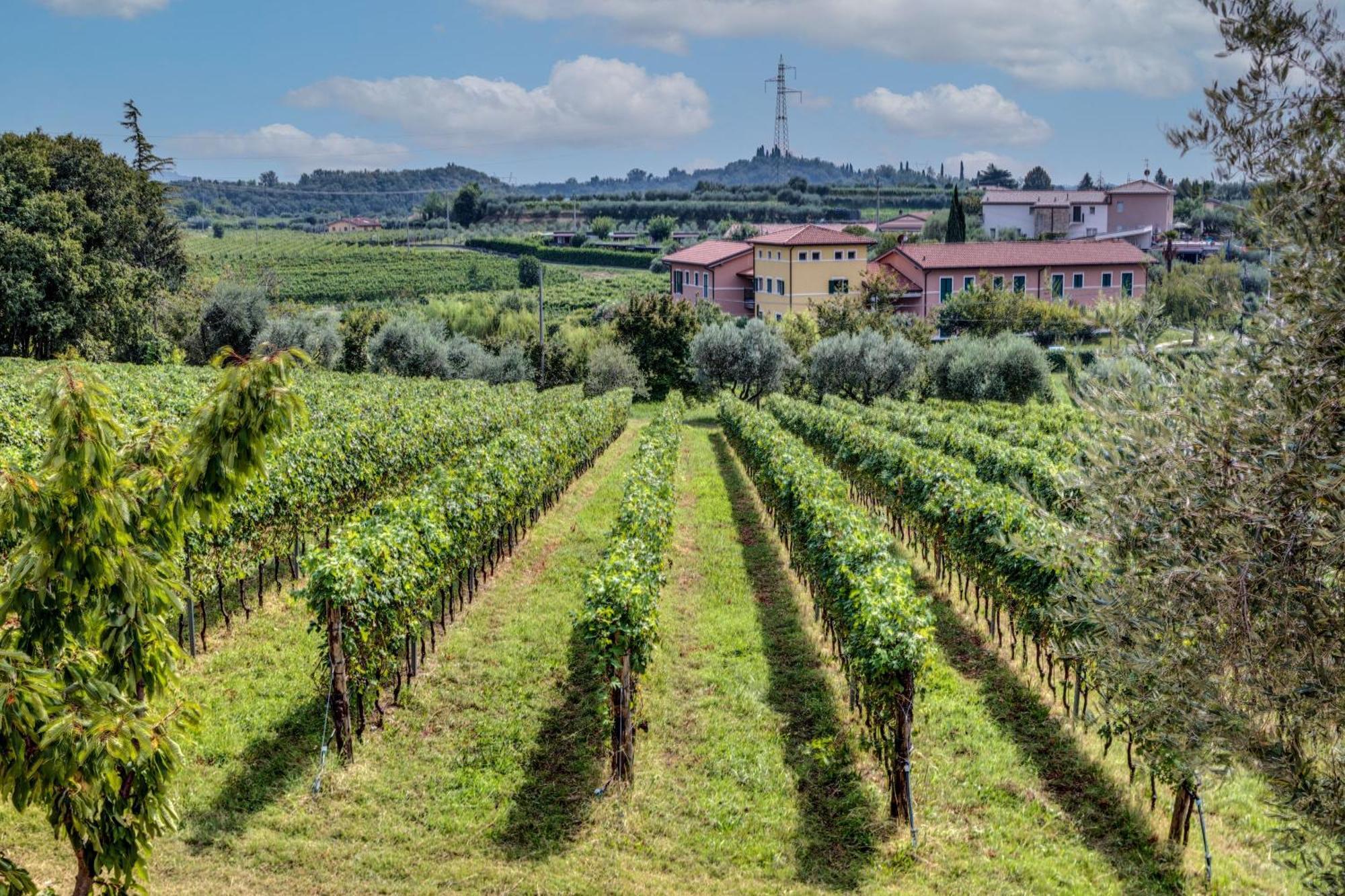 Tenuta Di Palu Bardolino Eksteriør billede